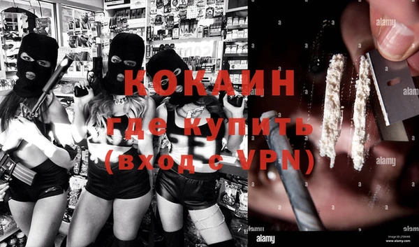 шишки Баксан