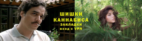 шишки Баксан