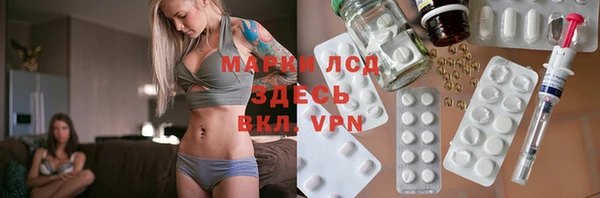 шишки Баксан