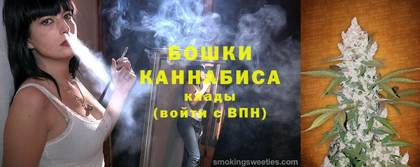 шишки Баксан