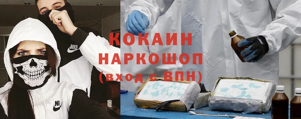 шишки Баксан