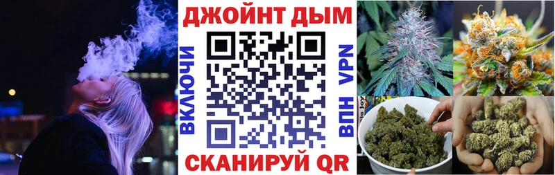 Бошки Шишки планчик  Лермонтов 